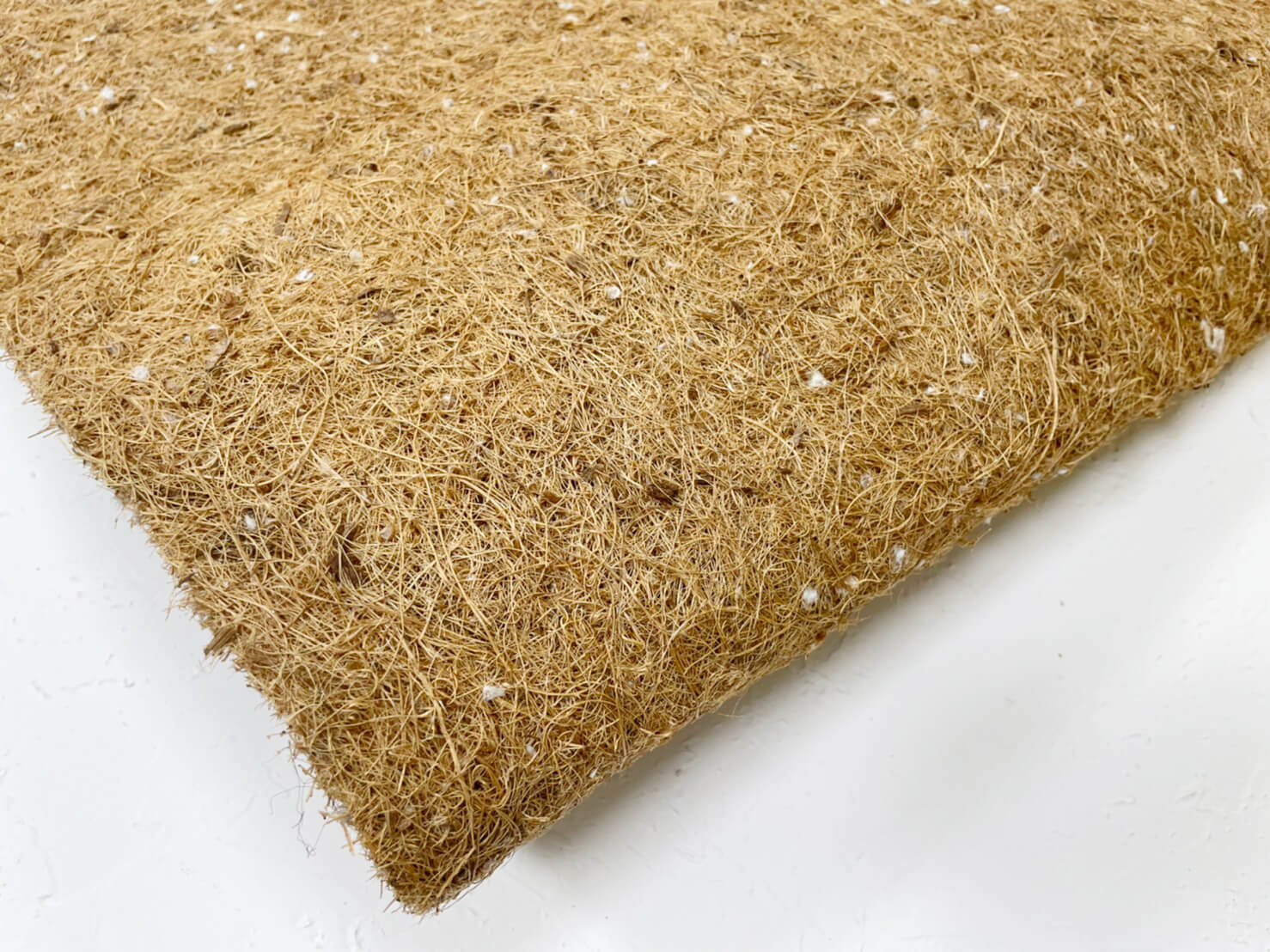 棕椰床墊是天然環保材質的床墊種類，具有透氣、吸濕、彈性大的特性