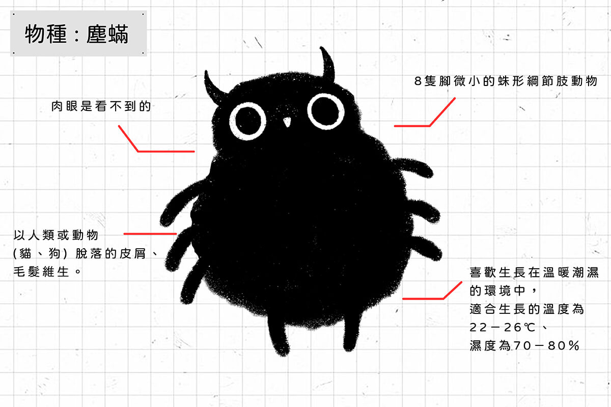 塵蟎是肉眼看不到的生物，喜歡生長在溫暖潮濕的環境中，像臥室的床墊、床寢、地毯、窗簾等都是適合塵蟎生長的地方