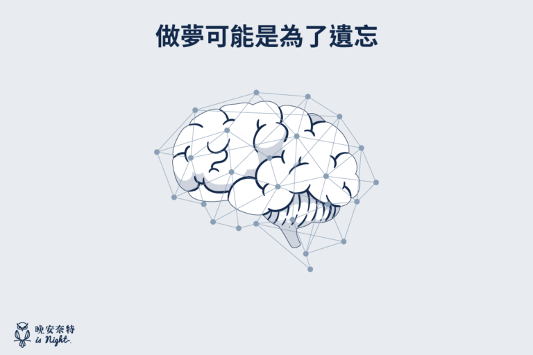 為什麼會做夢?一直做夢怎麼辦?惡夢可以調節情緒嗎?